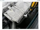 IMG_1973.png