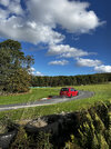 Trophy_Harewood_Sept25_01.jpg