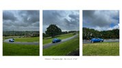 Harewood_SummerChamps_tri.jpg