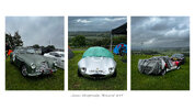 Harewood_SummerChamps_trio02.jpg Harewood_SummerChamps_trio02.jpg