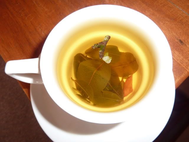 P1010787.jpg